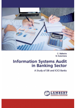 Information Systems Audit in Banking Sector