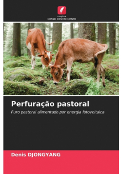 Perfuração pastoral