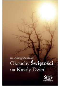 Okruchy Świętości na każdy dzień