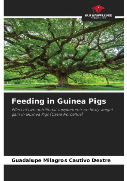 Feeding in Guinea Pigs