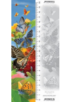 Zakładka 3D Motyl