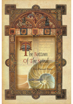 The Bottom Of The Spiral