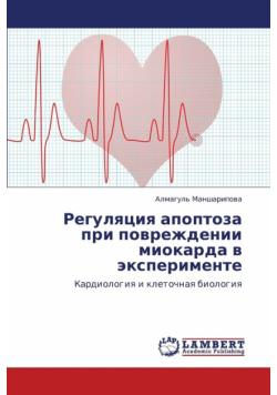 Regulyatsiya Apoptoza Pri Povrezhdenii Miokarda V Eksperimente