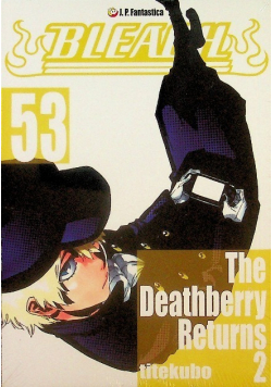 Bleach Tom 53