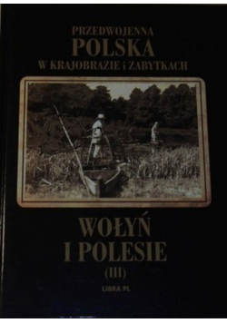 Przedwojenna Polska w krajobrazie i zabytkach Wołyń i Polesie Tom III