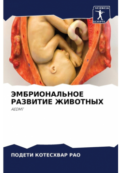 ЭМБРИОНАЛЬНОЕ РАЗВИТИЕ ЖИВОТНЫХ