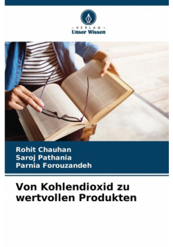 Von Kohlendioxid zu wertvollen Produkten