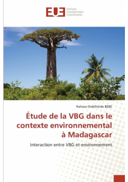 Étude de la VBG dans le contexte environnemental à Madagascar