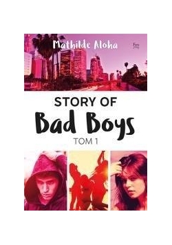 Story of Bad Boys T.1 ,nowa