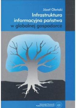 Infrastruktura informacyjna państwa w globalnej gospodarce