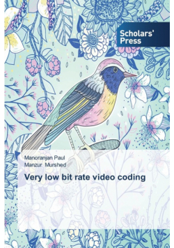 Very low bit rate video coding