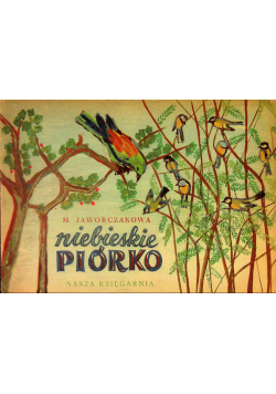 Niebieskie Piorko