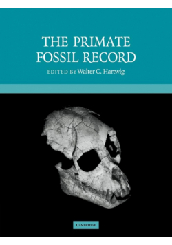 The Primate Fossil Record