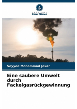 Eine saubere Umwelt durch Fackelgasrückgewinnung