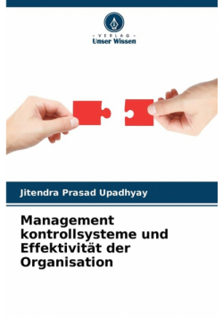 Management kontrollsysteme und Effektivität der Organisation