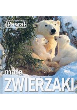 Małe zwierzaki