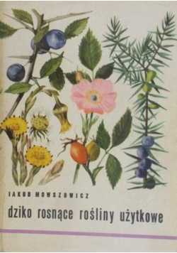 Dziko rosnące rośliny użytkowe