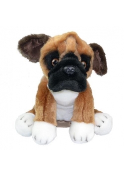 Fluffy Fam pies Boxer 30cm