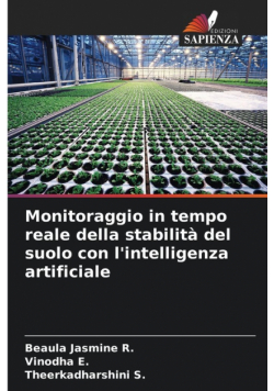 Monitoraggio in tempo reale della stabilità del suolo con l'intelligenza artificiale