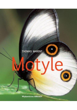 Marent Thomas - Motyle