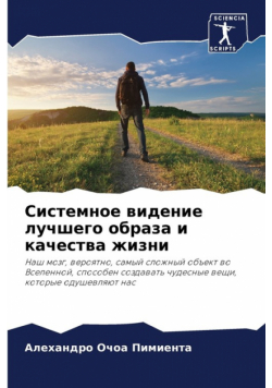 Системное видение лучшего образа и качества жизни