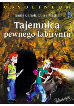 Tajemnica pewnego labiryntu