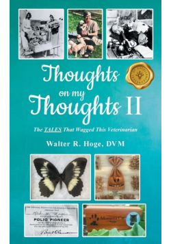 Thoughts on my Thoughts II