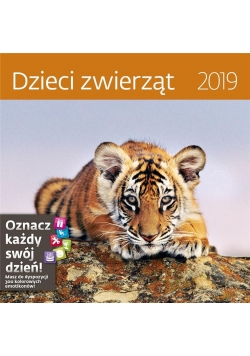 Kalendarz 2019 30x30 Dzeci Zwierząt HELMA
