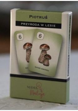 Karty Piotruś - Przyroda w lesie