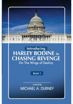 Chasing Revenge
