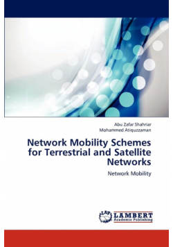 Network Mobility Schemes for Terrestrial and Satellite Networks