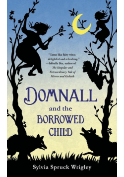 Domnall And The Borrowed Child