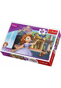Puzzle Przed pałacem 60
