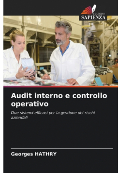 Audit interno e controllo operativo