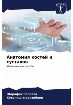 Анатомия костей и суставов
