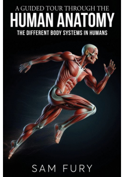 A Guided Tour Through the Human Anatomy