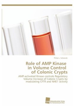 Role of AMP Kinase in Volume Control of Colonic Crypts
