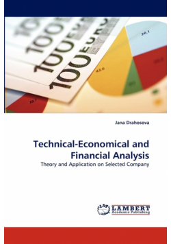 Technical-Economical and Financial Analysis