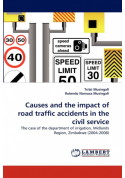 Causes and the impact of road traffic accidents in the civil service