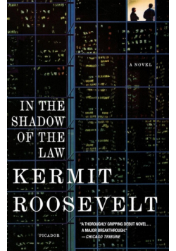 In the Shadow of the Law