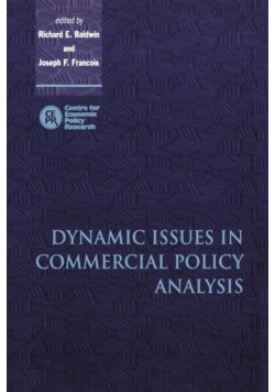 Dynamic Issues in Applied Commercial Policy Analysis