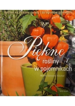 Piękne rośliny w pojemnikach