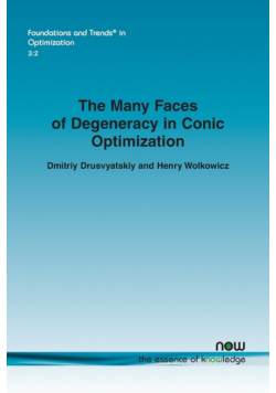 The Many Faces of Degeneracy in Conic Optimization