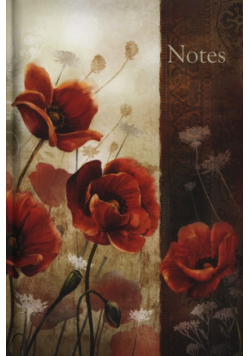 Notes B6 w linie Soft 41N-S Maj