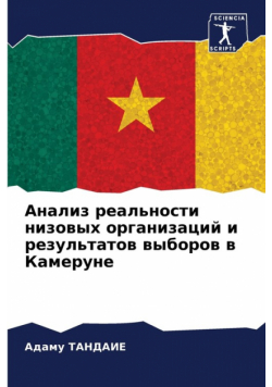 Анализ реальности низовых организаций и результатов выборов в Камеруне