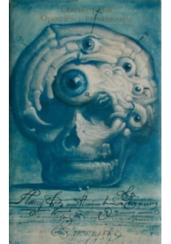 Czarny pająk
