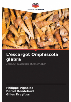 L'escargot Omphiscola glabra