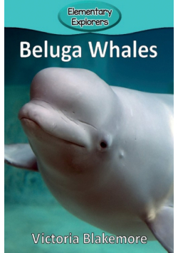 Beluga Whales