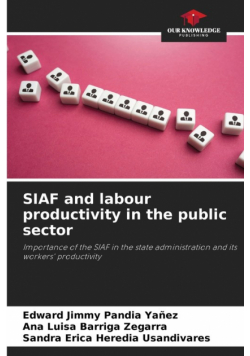 SIAF and labour productivity in the public sector