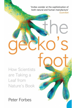 The Gecko's Foot